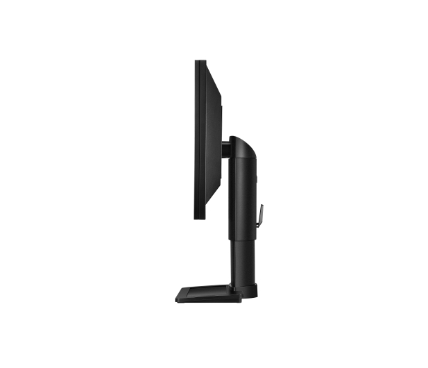BenQ BL2411PT czarny - 149593 - zdjęcie 4